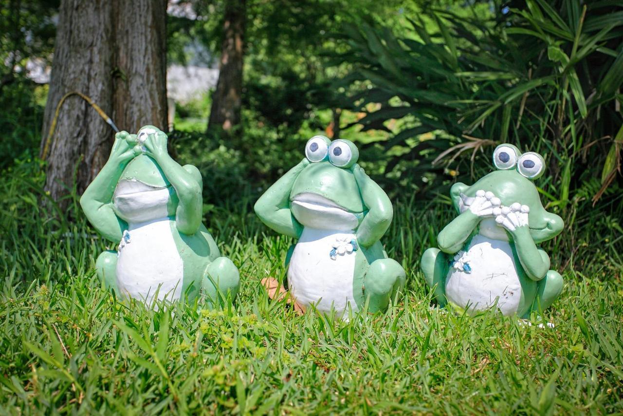 Fairy Story Village Farm B&B Dongshan  Eksteriør bilde