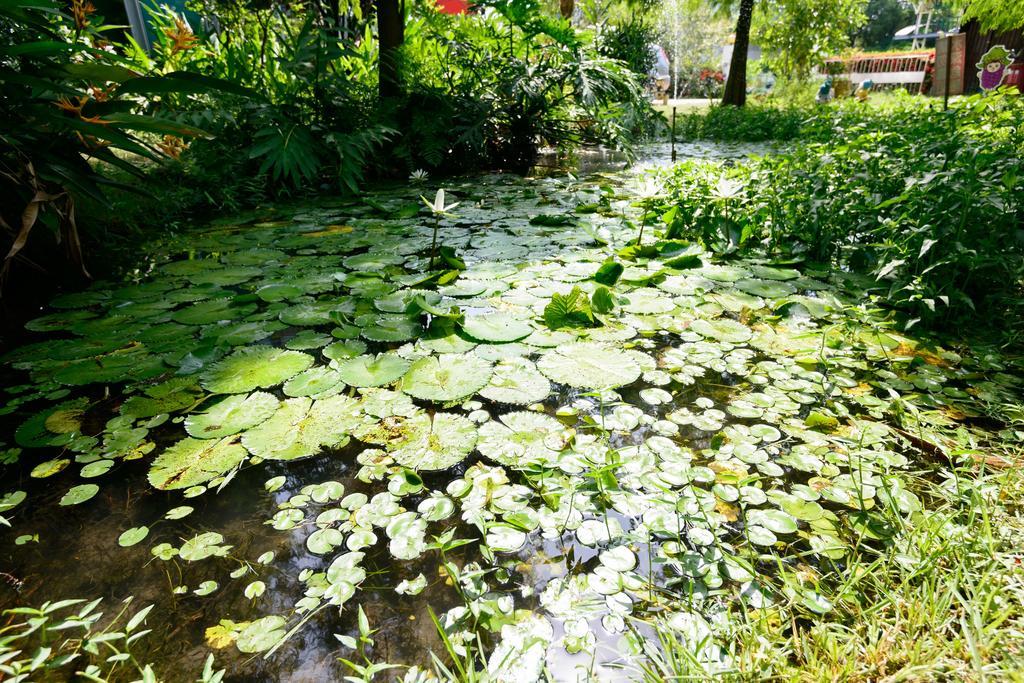 Fairy Story Village Farm B&B Dongshan  Eksteriør bilde